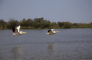 Découverte du Sénégal