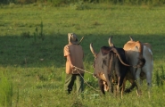 Trésors de Cuba