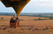 Safari Karibuni classic