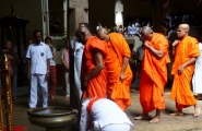 Sri Lanka, l'île émeraude en privé