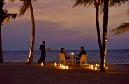 Sri Lanka, l'île émeraude en privé