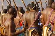 Afrique du Sud originale