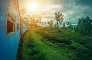 Sri Lanka, l'île émeraude en privé