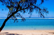 Regard sur l'Île de la Réunion