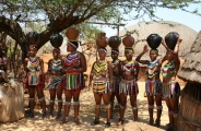 Essentielles découvertes d'Afrique du Sud et chutes Victoria