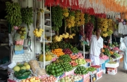 Sri Lanka, l'île émeraude en privé