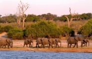 Essentielles découvertes d'Afrique du Sud et chutes Victoria