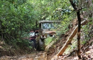 Sri Lanka, l'île émeraude en privé