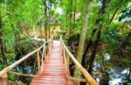 The Sands at Chale Island