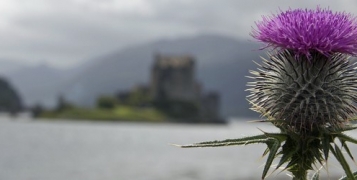 Esprit d'Ecosse