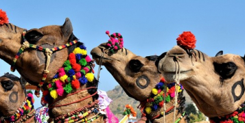 Rajasthan Intimiste- Spéciale foire de Pushkar