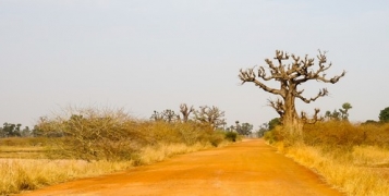 Sénégal classique