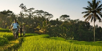 Bali classic