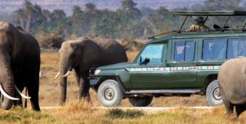 Safari privé Swala Duma Tanzanie