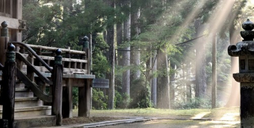 Lumière sur le Japon