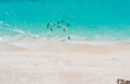 Extension Sandies Baobab Beach Zanzibar