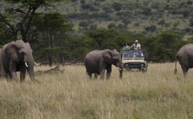 Tanzanie