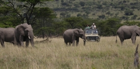 Promotion Tanzanie