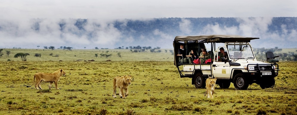 Safaris Kenya