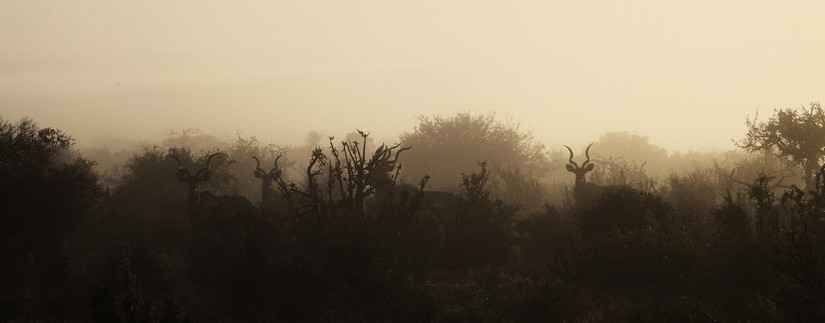 Circuit les essentiels d'Afrique du Sud