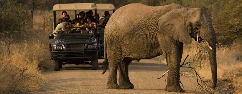 Circuit indispensable regard Afrique du Sud