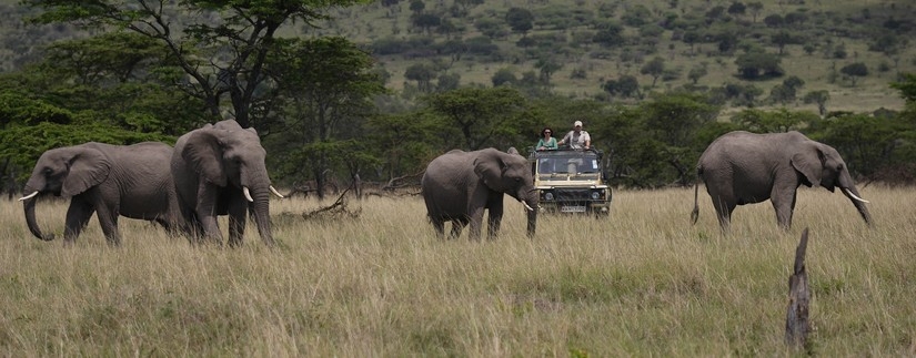 Tanzanie