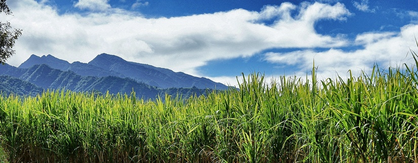 Regard sur l'Île de la Réunion