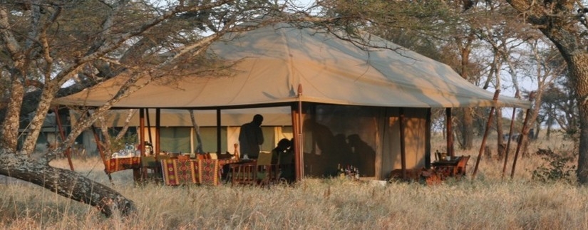 Tanzanie Safari Experience